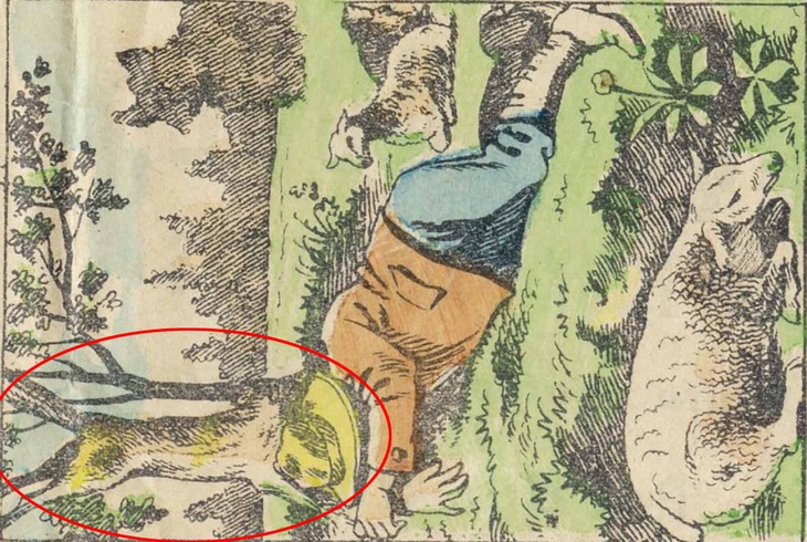 Mắt 10/10 mới thấy con sói trốn ở đâu- Ảnh 2.