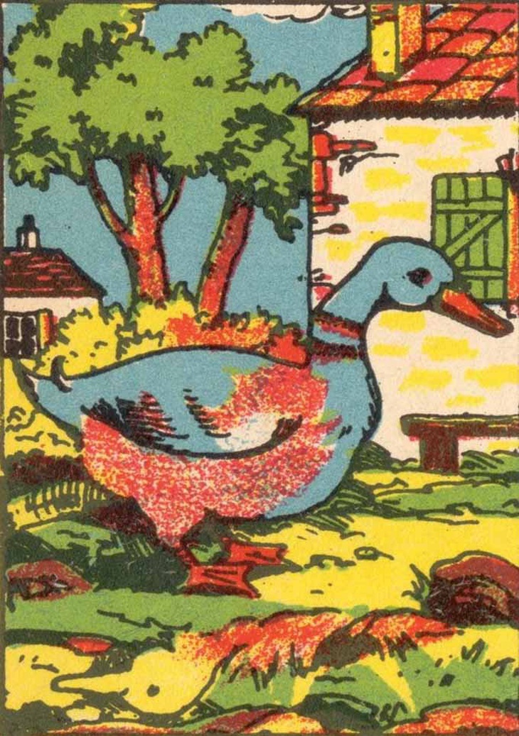 Mắt 10/10 có thấy chủ nhân khu vườn ở đâu?- Ảnh 3.