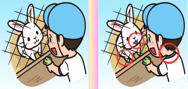 Mắt 10/10 mới thấy con sói trốn ở đâu- Ảnh 6.