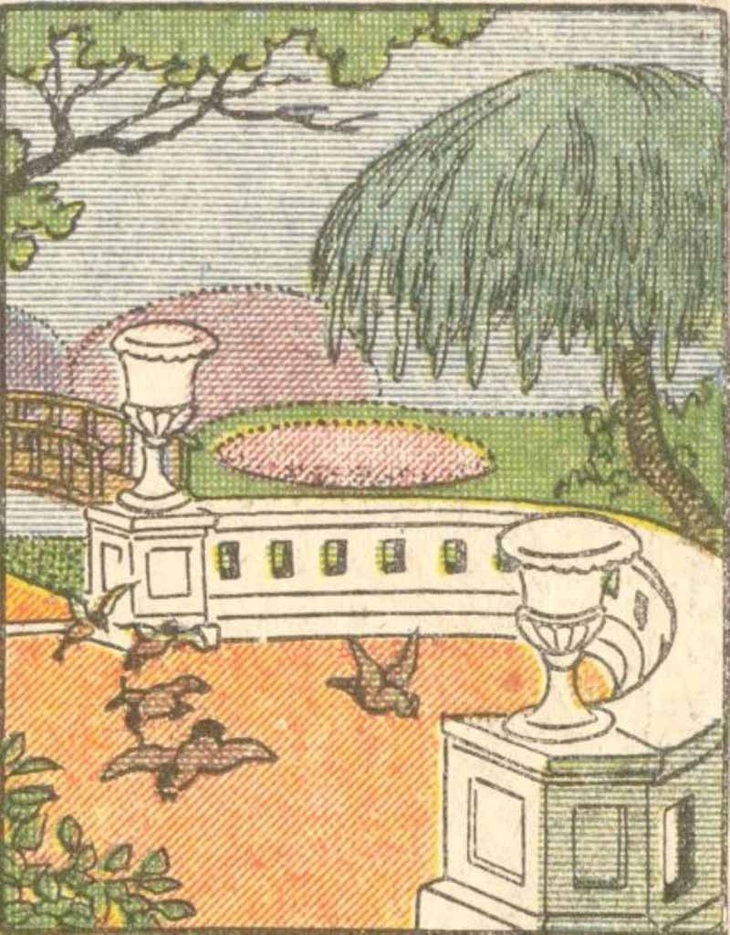 Mắt 10/10 có thấy chủ nhân khu vườn ở đâu?- Ảnh 1.