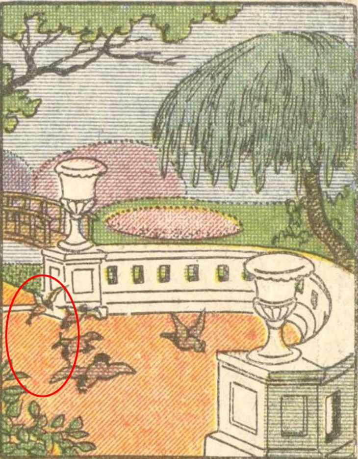 Mắt 10/10 có thấy chủ nhân khu vườn ở đâu?- Ảnh 2.