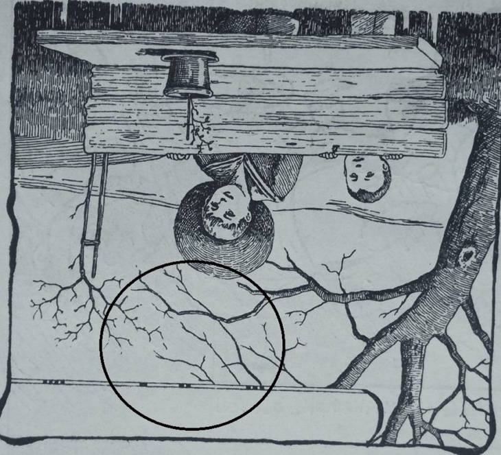 Thiên tài mới thấy người mẹ của hai đứa trẻ ở đâu- Ảnh 2.