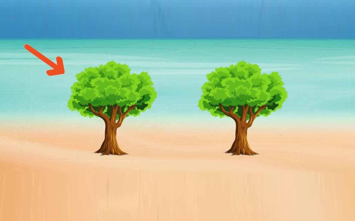 Thử tài nhanh trí với đuổi hình bắt chữ (P3)