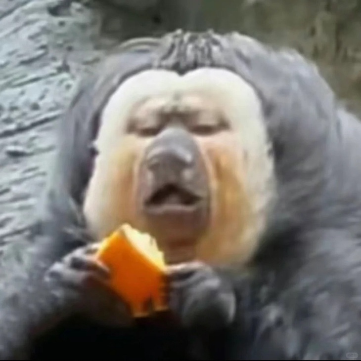 Sơ hở là bị chụp lén. 