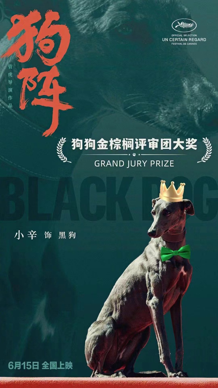 Chú cún Tiểu Xin đã trở thành minh tinh khi được giải thưởng đặc biệt do ban giám khảo trao tặng tại LHP Cannes 2024