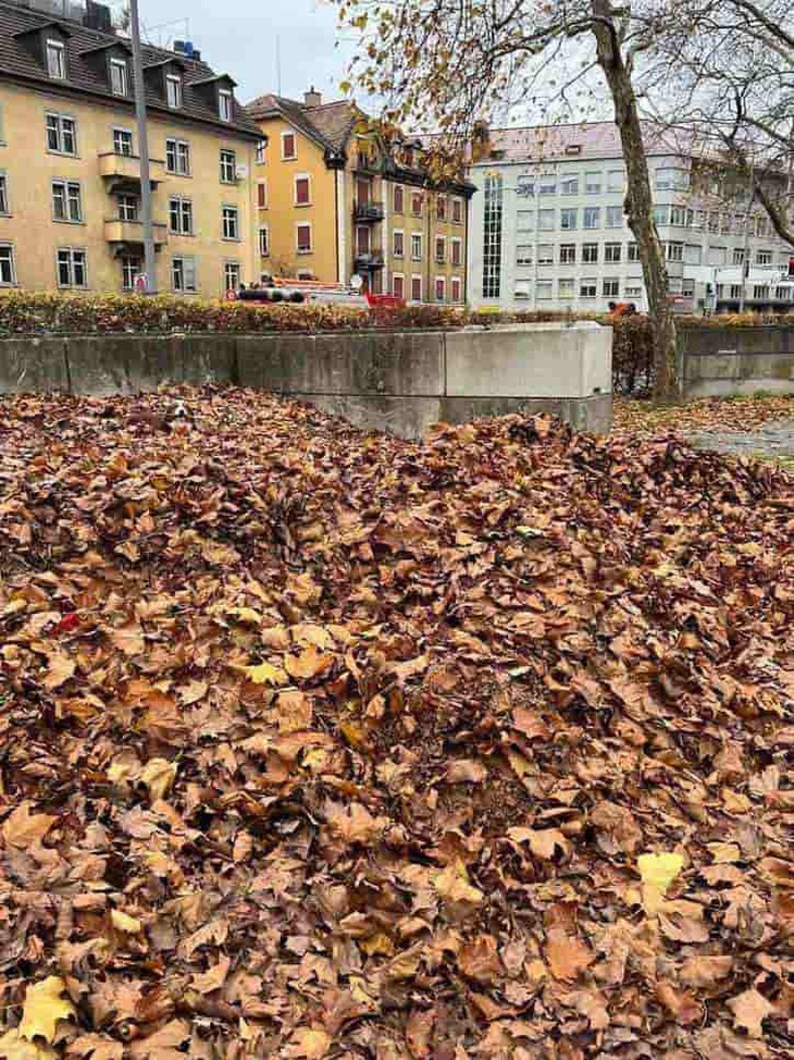 Mắt 10/10 mới thấy người đàn ông ẩn giấu trong hình- Ảnh 3.