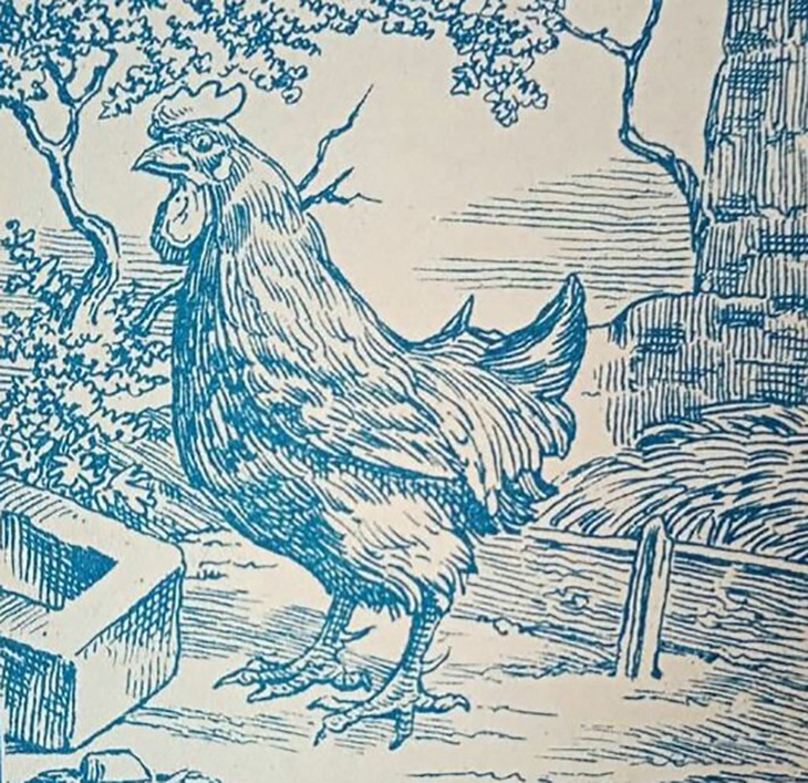 Mắt 10/10 mới thấy người đàn ông ẩn giấu trong hình- Ảnh 1.