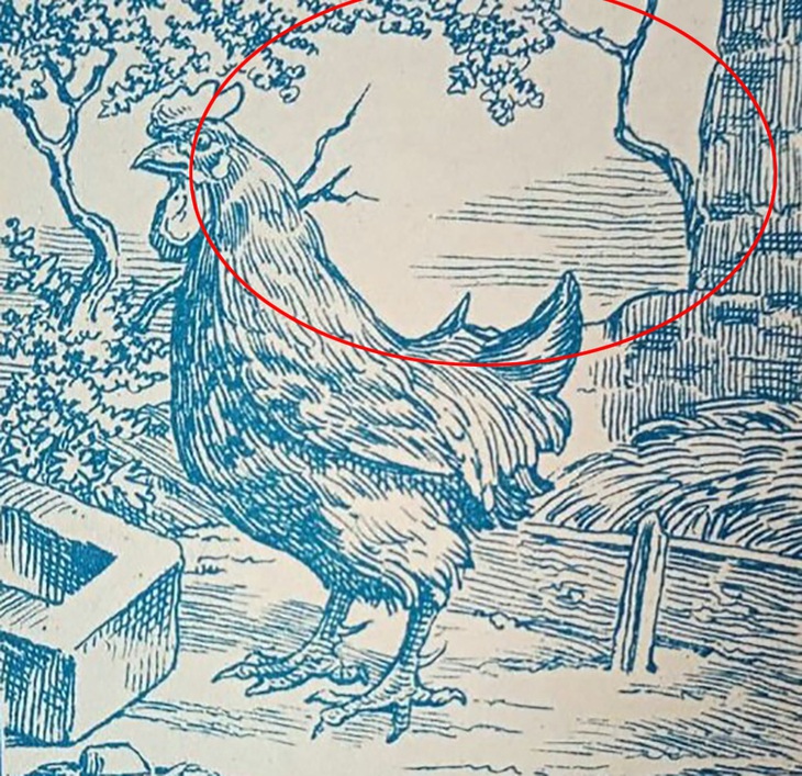 Mắt 10/10 mới thấy người đàn ông ẩn giấu trong hình- Ảnh 2.