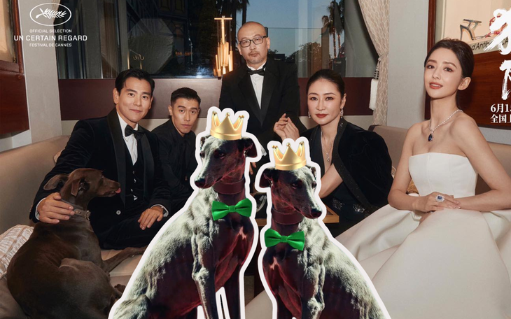 Chú cún Xin của ‘Black Dog