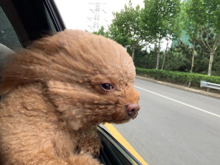 Có nhiều cái em không muốn nói đâu. 