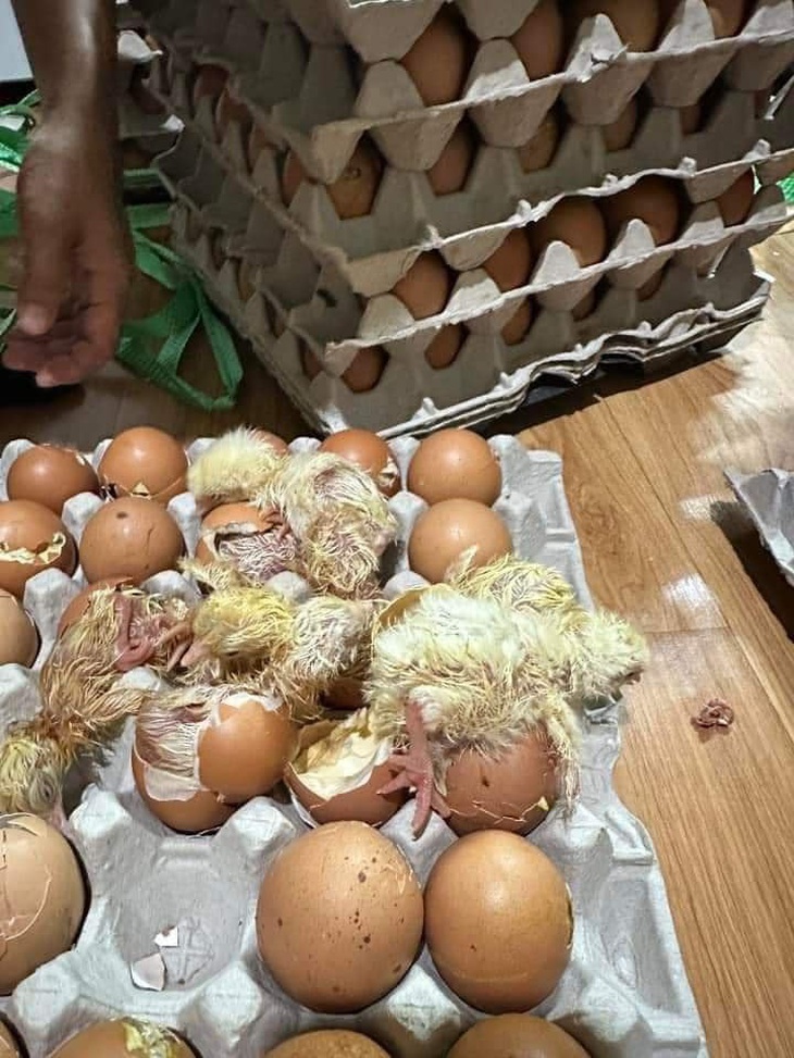 Đặt mua trứng nhưng book lộn qua giao hàng đường bưu điện. 