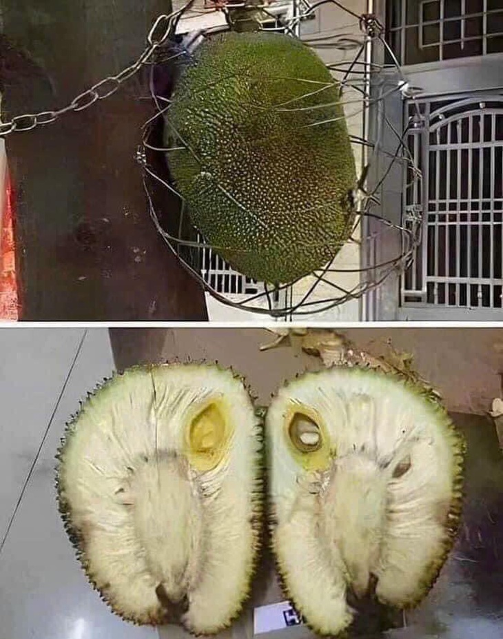 Vậy là "ăn cây nào rào cây ấy" hả?! 