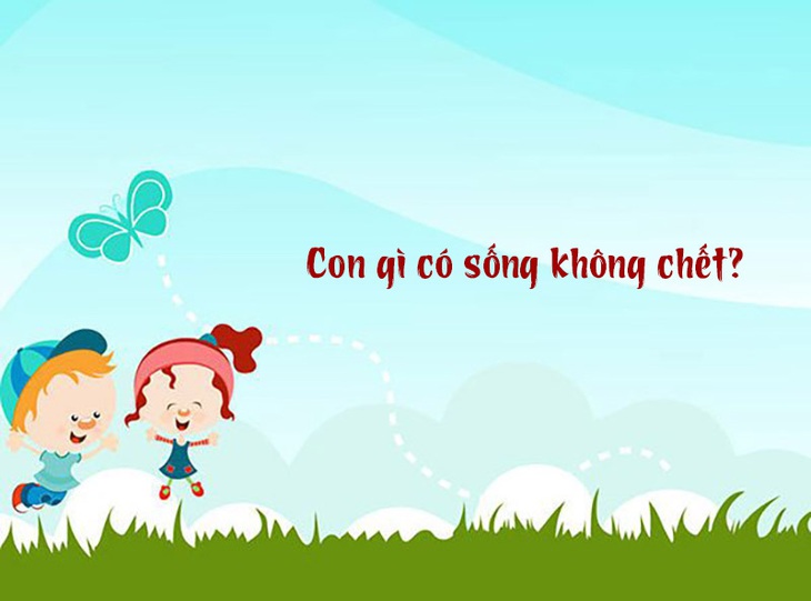 Câu đố hack não: Con gì có sống không chết?- Ảnh 1.