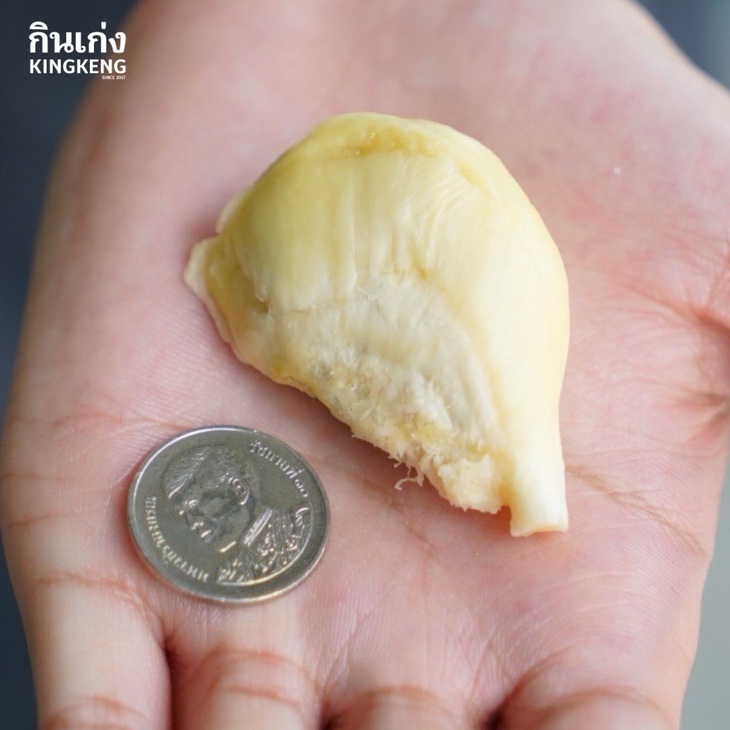 Múi sầu riêng có giá 1 baht nhỏ... xíu xịu xìu xiu.