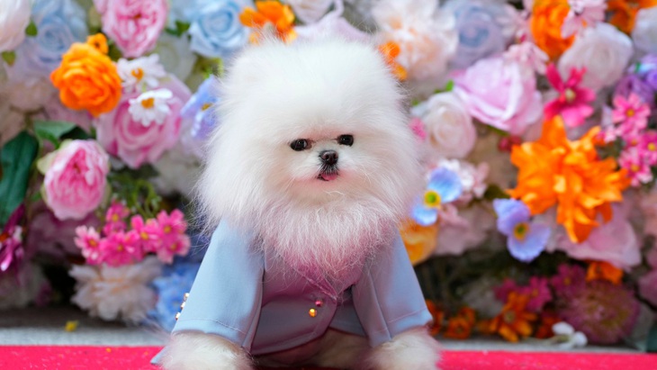 Ngắm bộ cánh ấn tượng nhất Met Gala 2024 trong phiên bản 'lắm lông'- Ảnh 4.