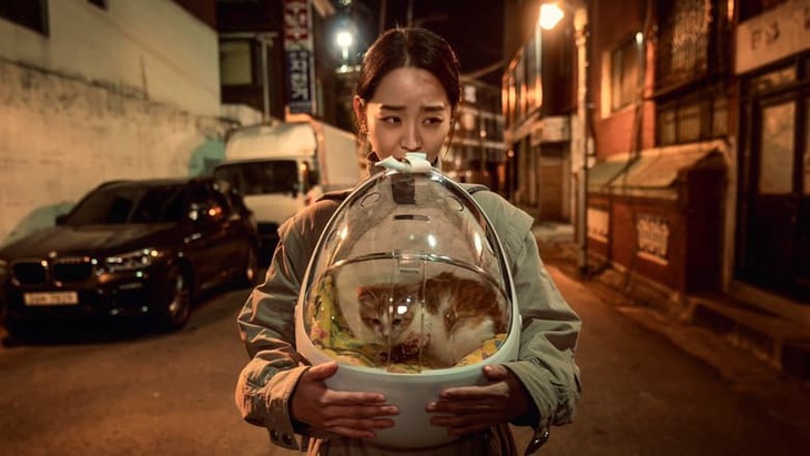 'Chàng hậu' Shin Hye Sun tái xuất màn ảnh rộng- Ảnh 5.