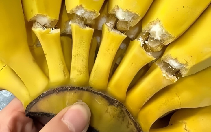 Ảnh vui 29-5: Mới cầm lên hỏi "bao nhiêu" thì đã phải thanh toán