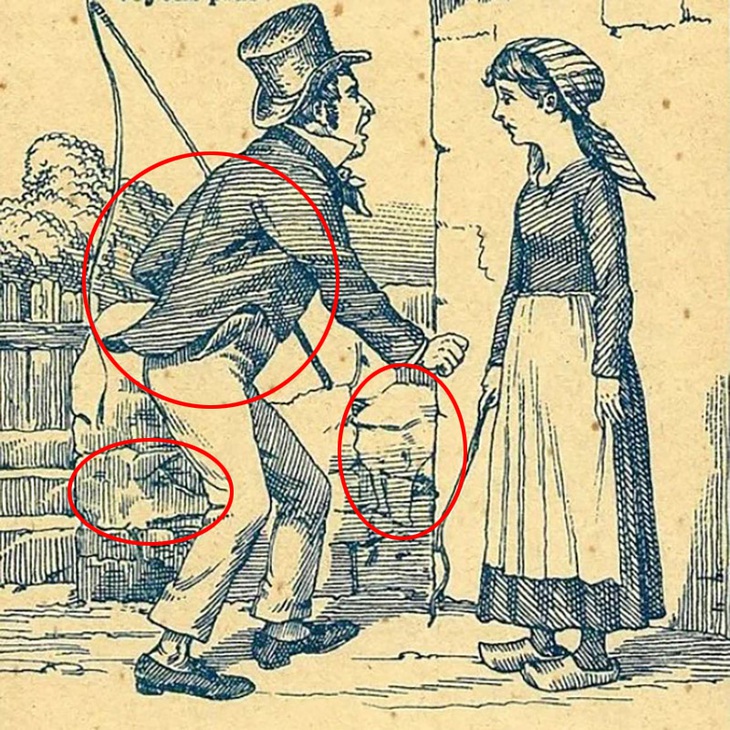 Mắt 10/10 mới thấy 3 con lợn đang trốn ở đâu?- Ảnh 2.