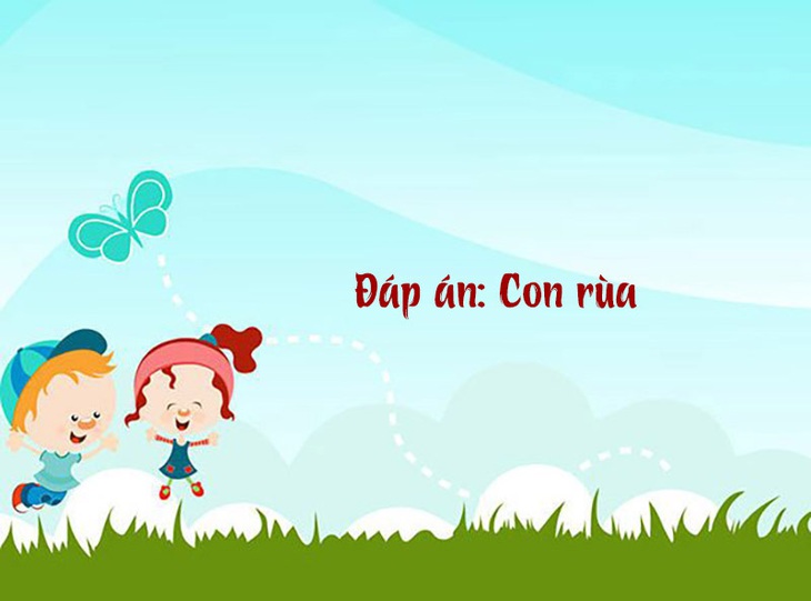 Câu đố hack não: Trên lợp ngói dưới có hoa là con gì?- Ảnh 2.