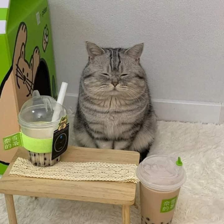 Đang giảm cân nên tâm phải tịnh.