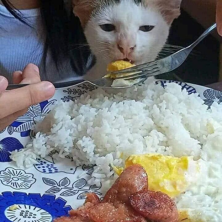 Ăn lẹ đi kẻo con Linh giành đó con!