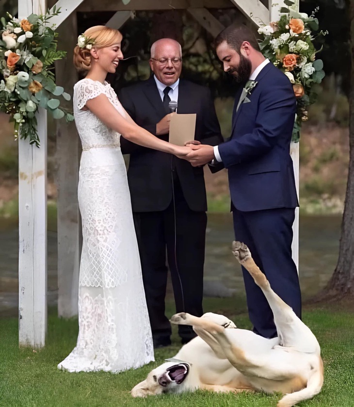 Rồi ai nuôi tui... 