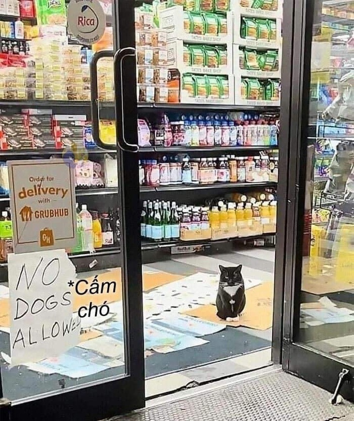 Thuận theo yêu cầu của "chủ nhà".