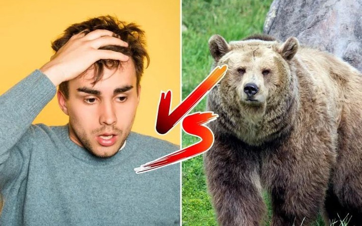 'Drama tình ái' ở Sở thú: Đôi khỉ xám sinh ra khỉ con lông vàng- Ảnh 4.