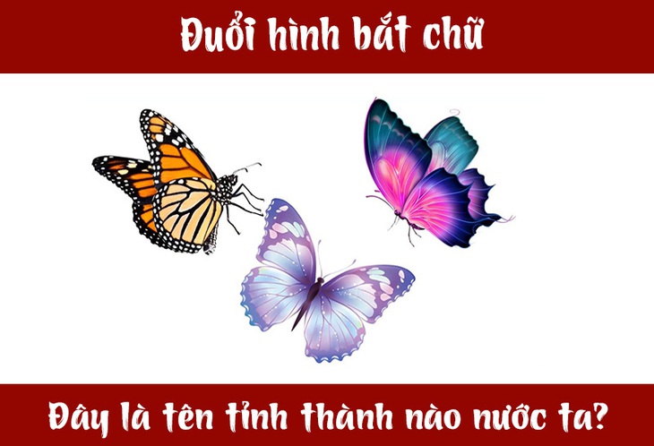 IQ cao có đoán được đây là tỉnh thành nào nước ta? (P52)- Ảnh 1.