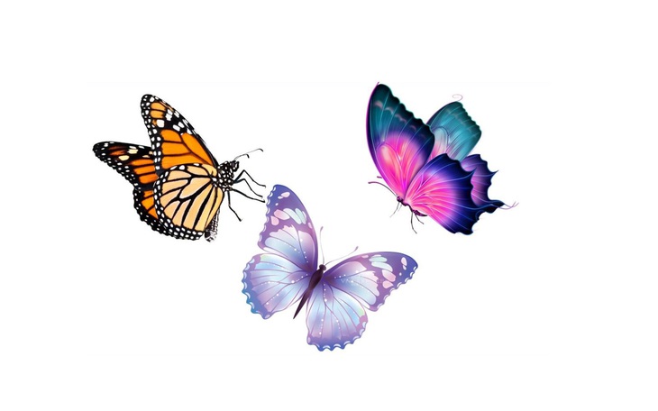 IQ cao có đoán được đây là tỉnh thành nào nước ta? (P52)