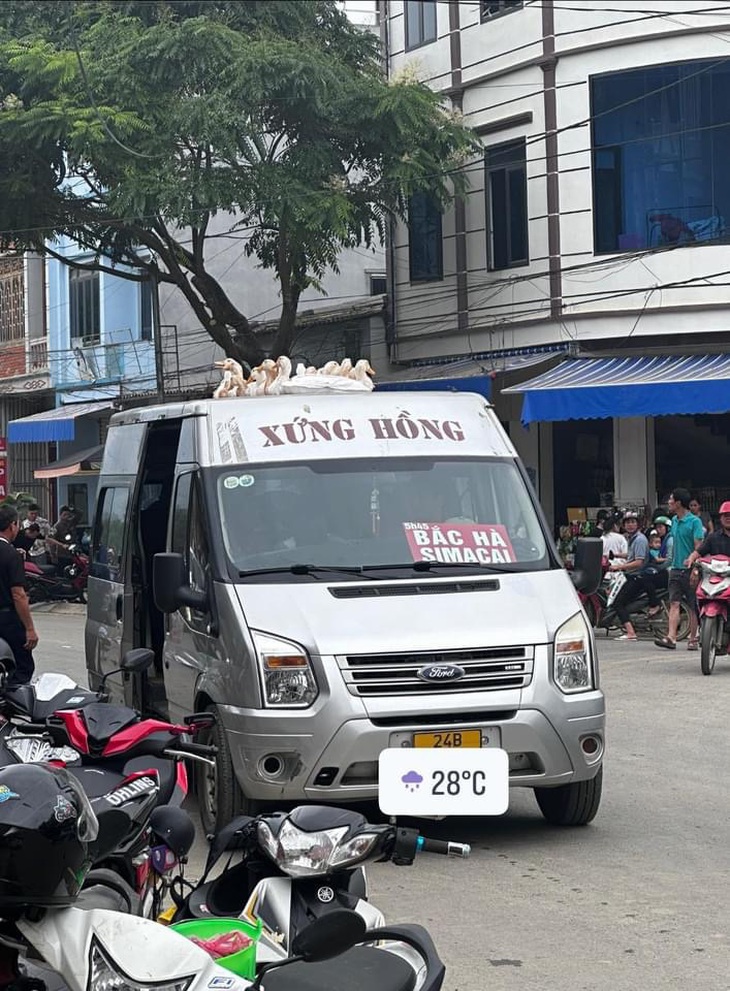 "Cạp cạp cạp, sắp tới chưa bác tài ơi?". 