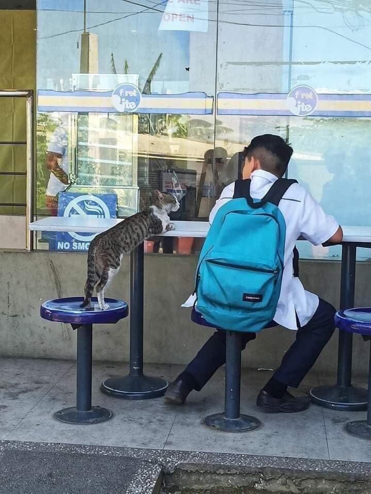 Tụi mình làm bạn nha. 