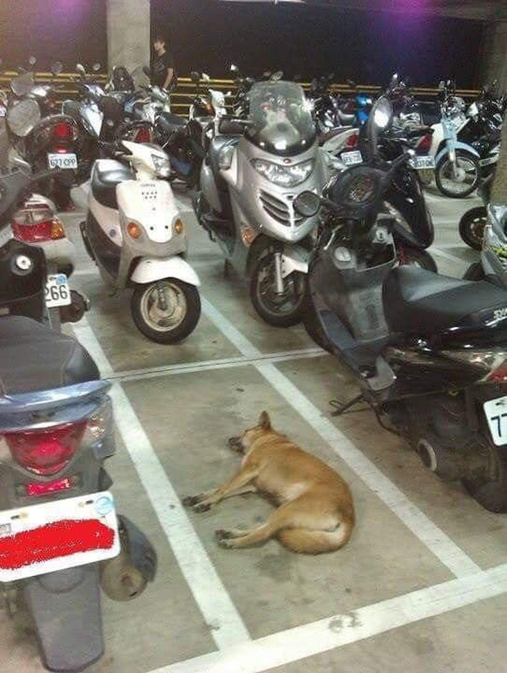 Chỗ này có "xe" đậu rồi.