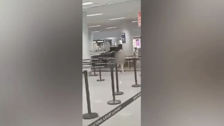 May mắn là không có bất kỳ ai hay hoạt động nào bị ảnh hưởng bởi sự cố này. 