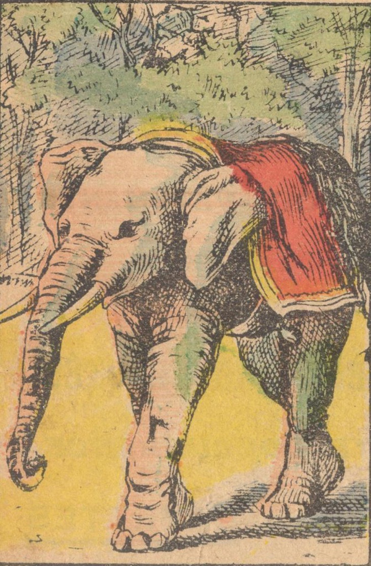 Thử tài tinh mắt: Chủ nhân của con voi đang ở đâu?- Ảnh 1.