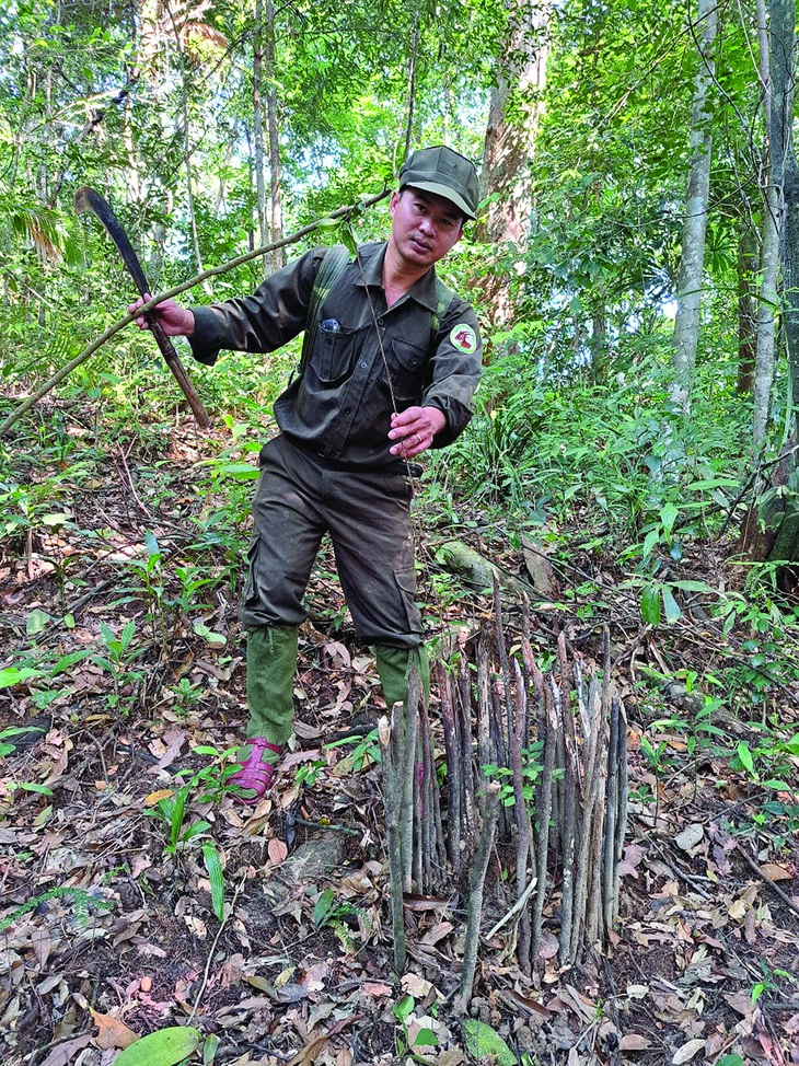 Lực lượng tuần tra của Khu bảo tồn Sao La Thừa Thiên Huế phá bỏ những chiếc bẫy thú bắt gặp được trên đường đi.  Ảnh: Nguyễn Đắc Thành