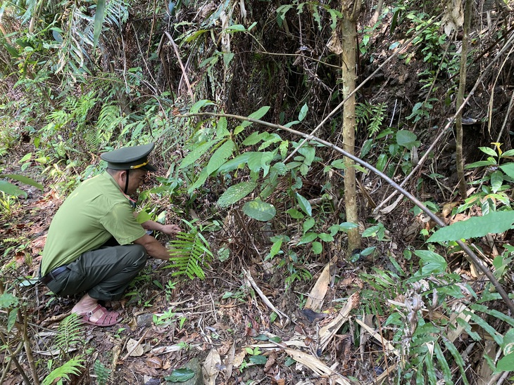 Bẫy thú giá rẻ giết muôn loài- Ảnh 1.