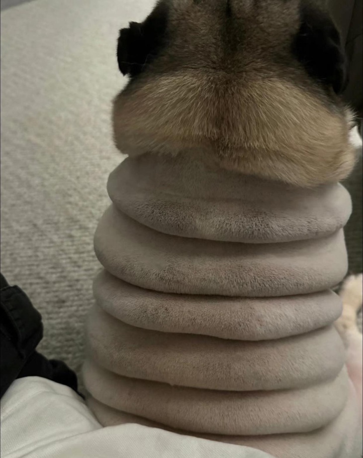 Từng ngấn rất rõ ràng.