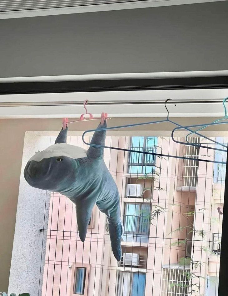 Em khô rồi, cho em xuống đi.