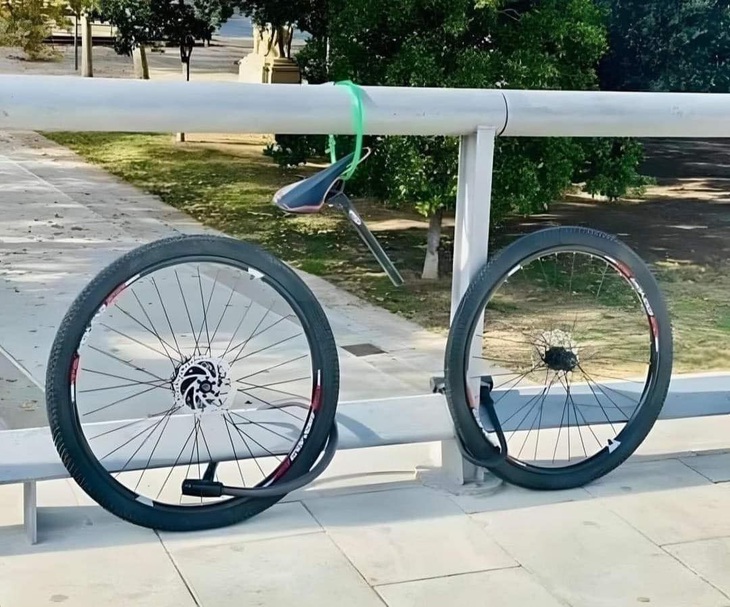 Có gì lấy nấy.