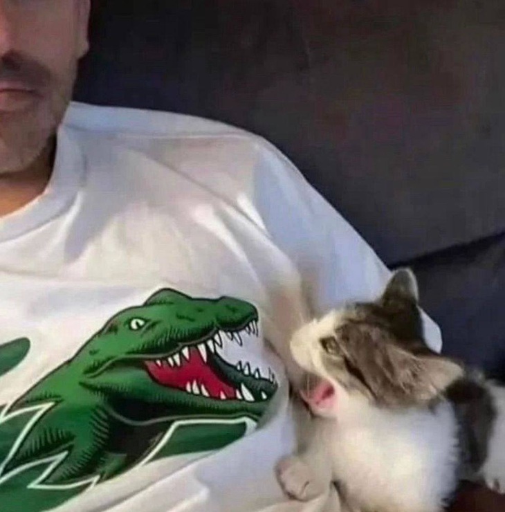 Liệu hồn với tao. 