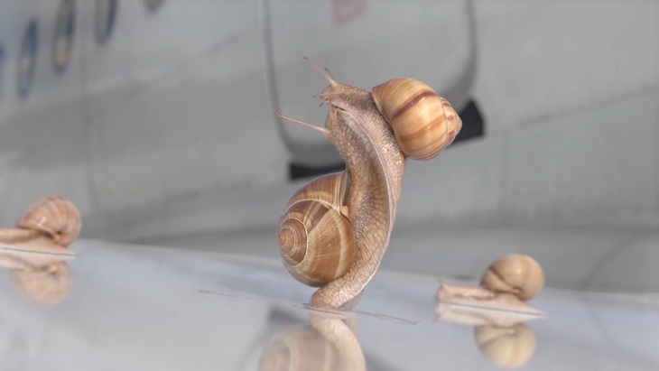 Hoạt hình hài hước về Thế vận hội Olympic mùa hè Paris 2024- Ảnh 6.