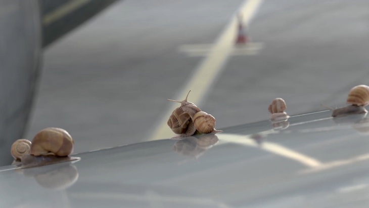 Hoạt hình hài hước về Thế vận hội Olympic mùa hè Paris 2024- Ảnh 9.