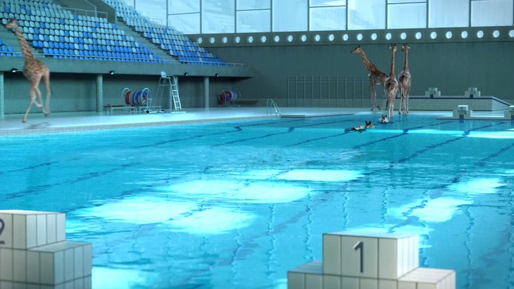 Hoạt hình hài hước về Thế vận hội Olympic mùa hè Paris 2024- Ảnh 5.