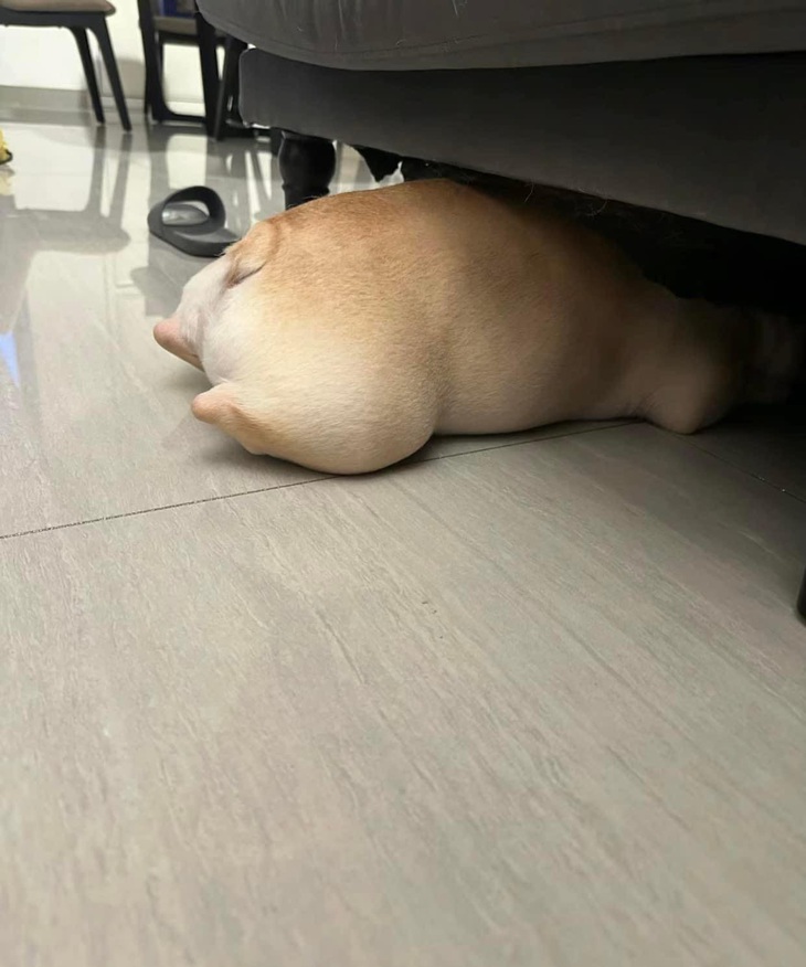 Ổ "bánh mì" rơi xuống nền nhà rồi. 