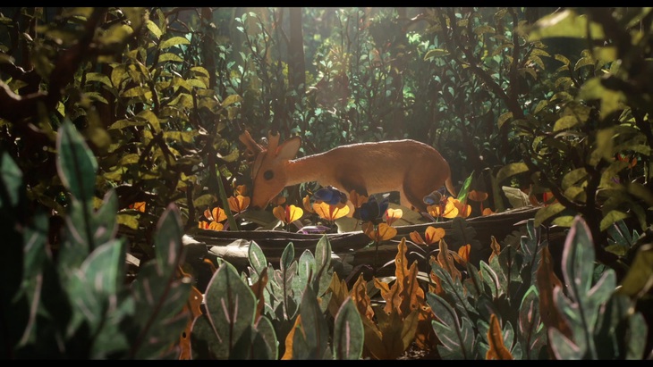 Phim hoạt hình về nạn phá rừng ngày càng nhiều- Ảnh 6.