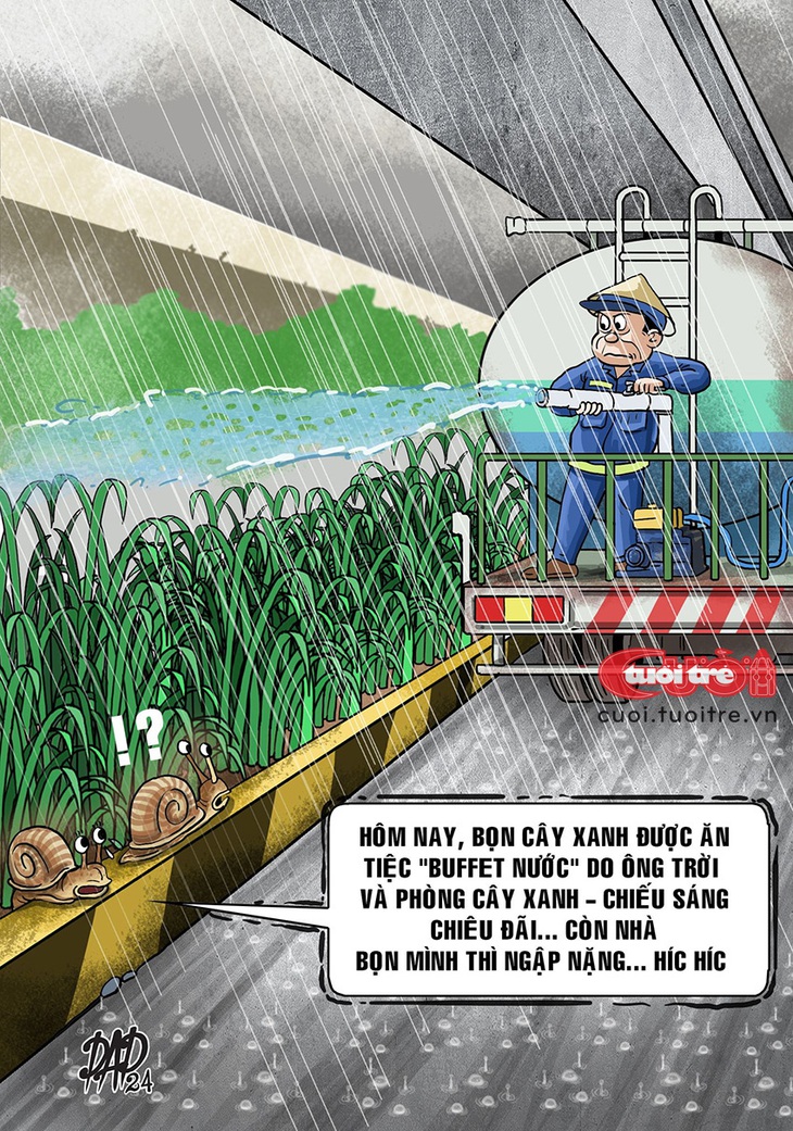 Tưới cây giữa trời mưa xối xả khiến dân mạng... "mắt chữ O mồm chữ A" - Tranh: DAD