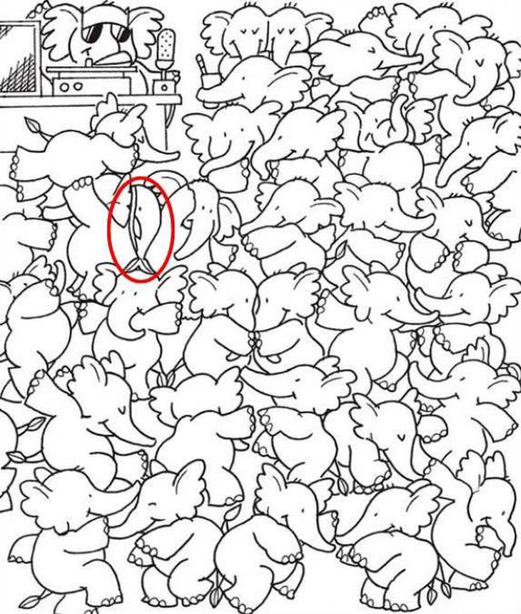 Thử tài tinh mắt: Cô gái được chàng trai cầu hôn đứng ở đâu?- Ảnh 4.