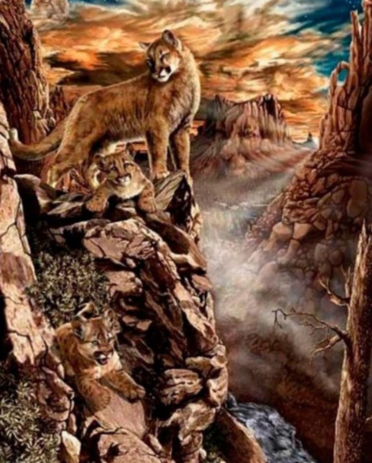 Thiên tài mới thấy 9 con sư tử trong 10 giây- Ảnh 1.