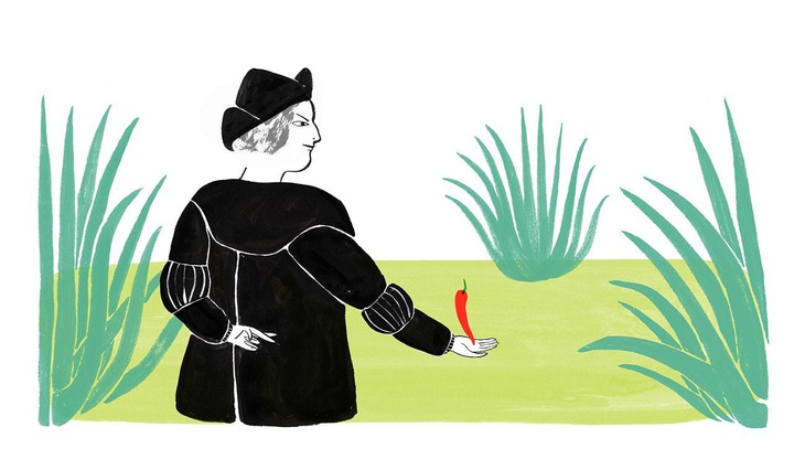 Trông cây ớt mà "nhầm" cây tiêu- Ảnh 2.